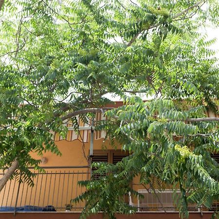 Casa Di Clara Apartment Ачиреале Екстериор снимка